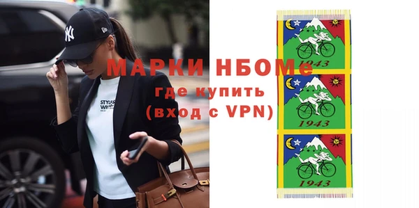 хмурый Алзамай