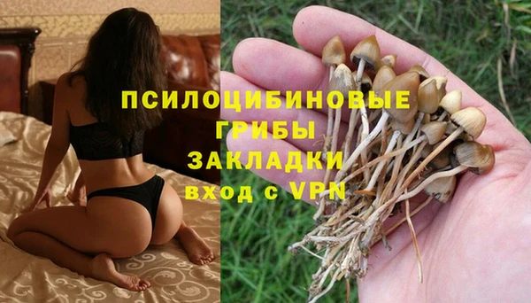 a pvp Алексеевка