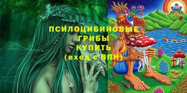 a pvp Алексеевка