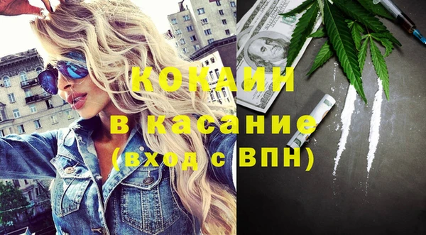 хмурый Алзамай
