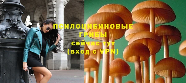 хмурый Алзамай