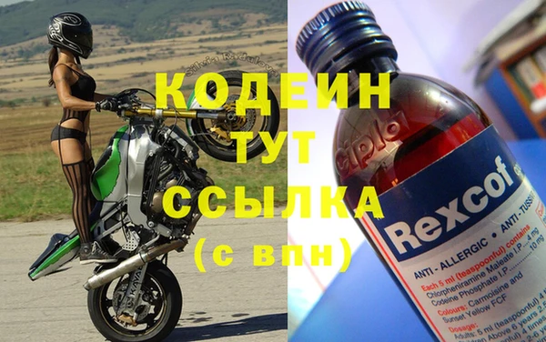 хмурый Алзамай