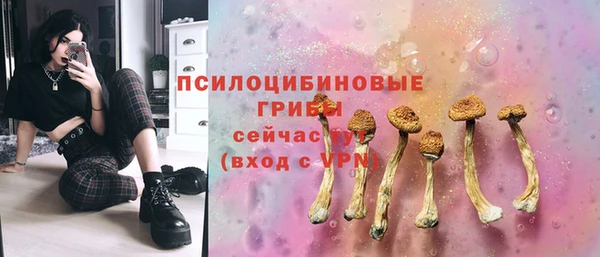 амф Алексин